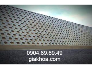 Gạch trồng cỏ 2 lỗ (gạch số 8)
